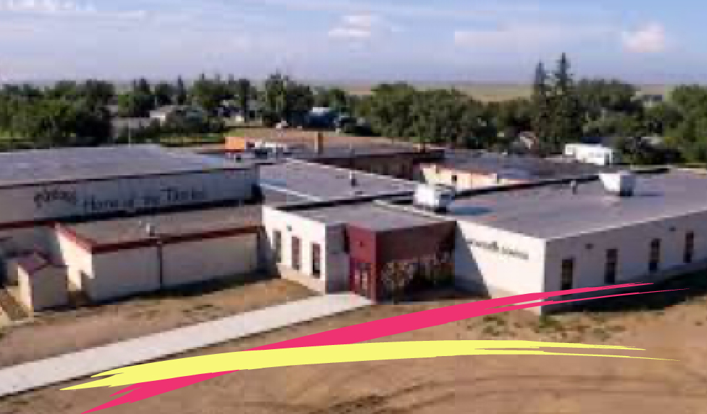 McIntosh School