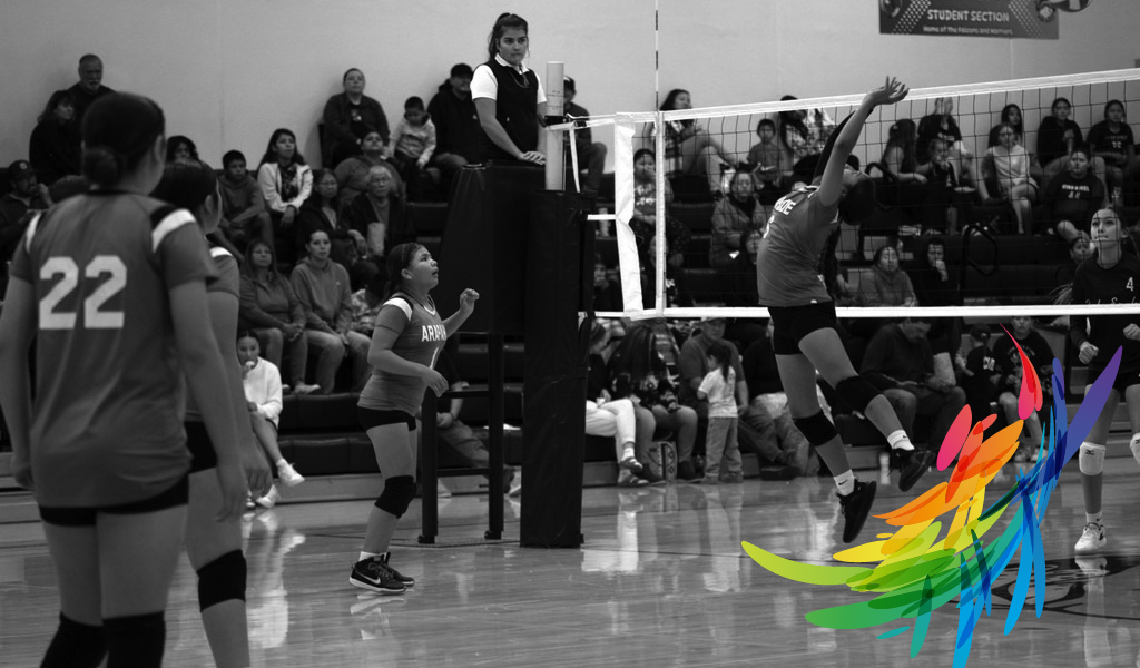 Fremont County School District #38